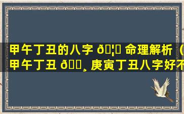 甲午丁丑的八字 🦍 命理解析（甲午丁丑 🕸 庚寅丁丑八字好不好）